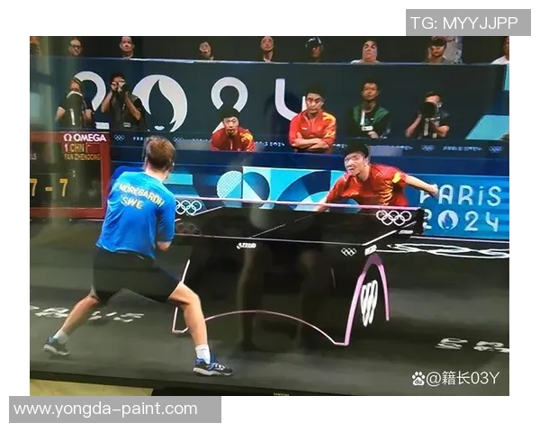 乒乓球精神：杭州乒乓球队拼搏历程的真实记录与感悟